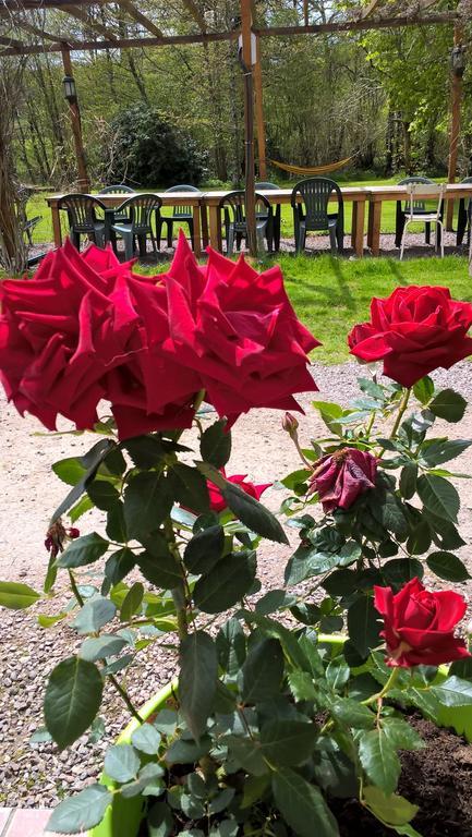 Bed and Breakfast Le Moulin De Douzy Saint-Christophe  Exterior foto