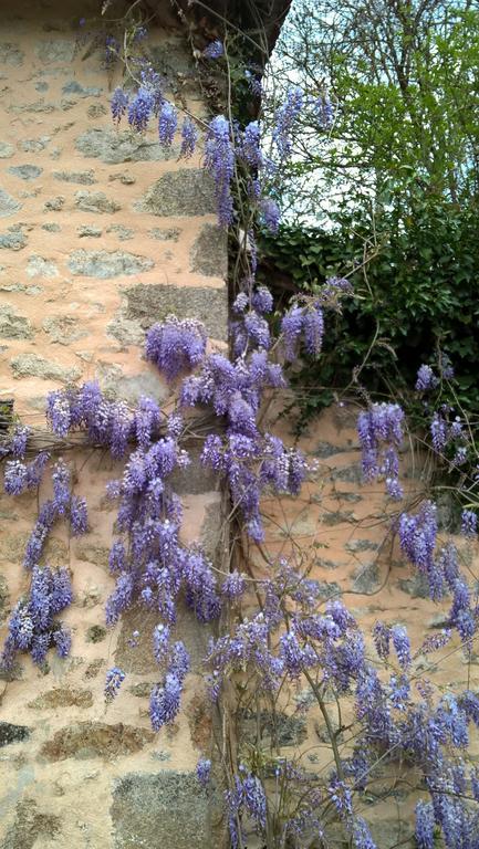 Bed and Breakfast Le Moulin De Douzy Saint-Christophe  Exterior foto