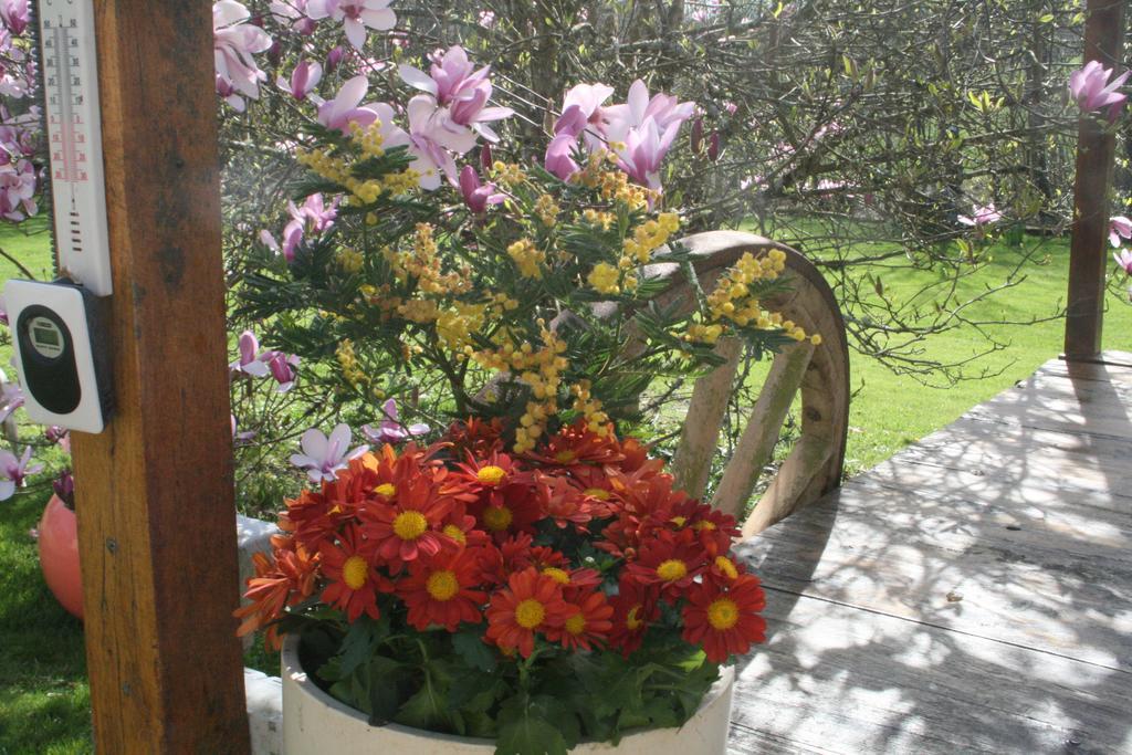 Bed and Breakfast Le Moulin De Douzy Saint-Christophe  Exterior foto